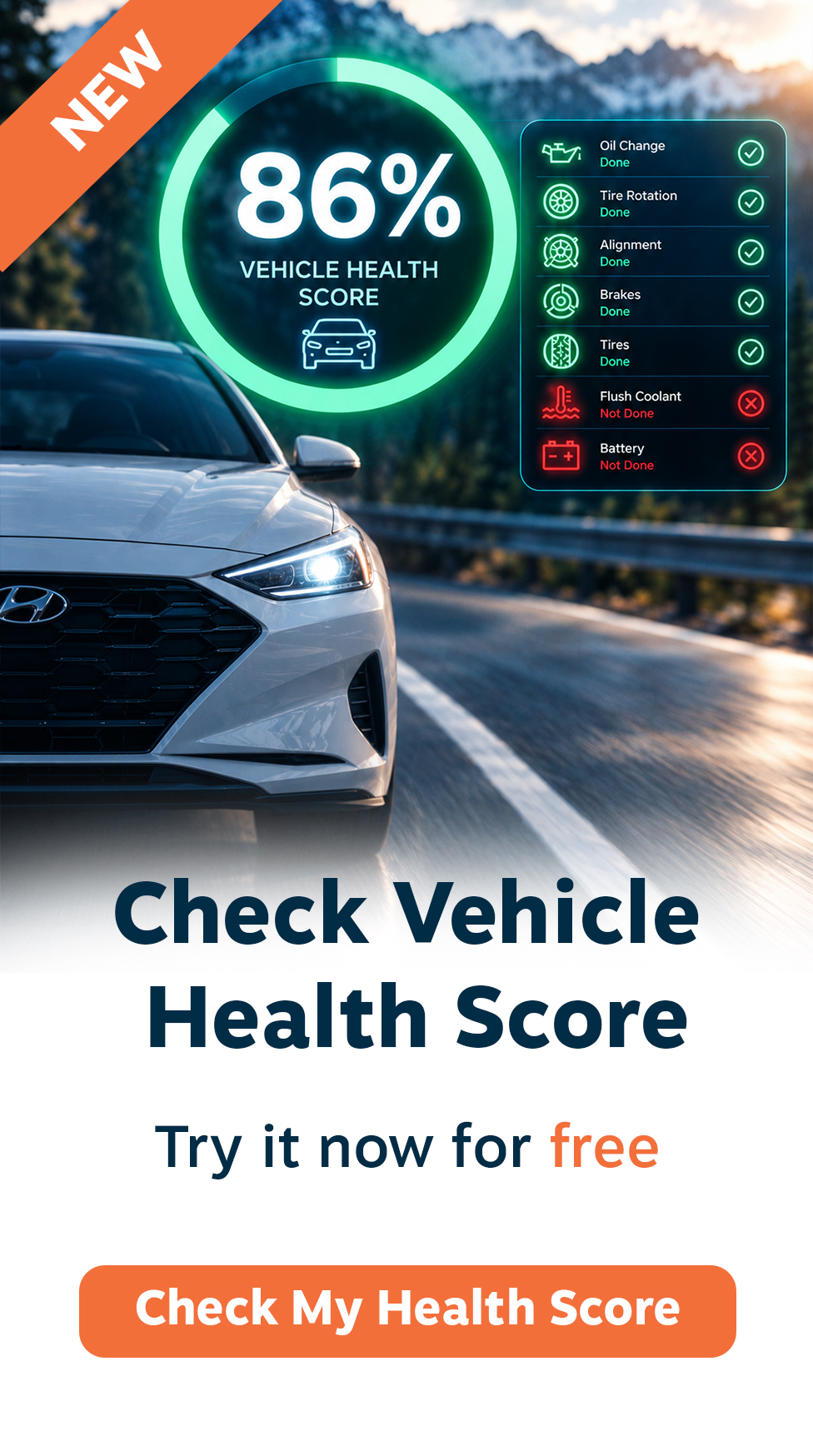 health score 3